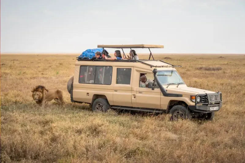 Tanzania Safari Package: Into the Ngorongoro Crater & Beyond